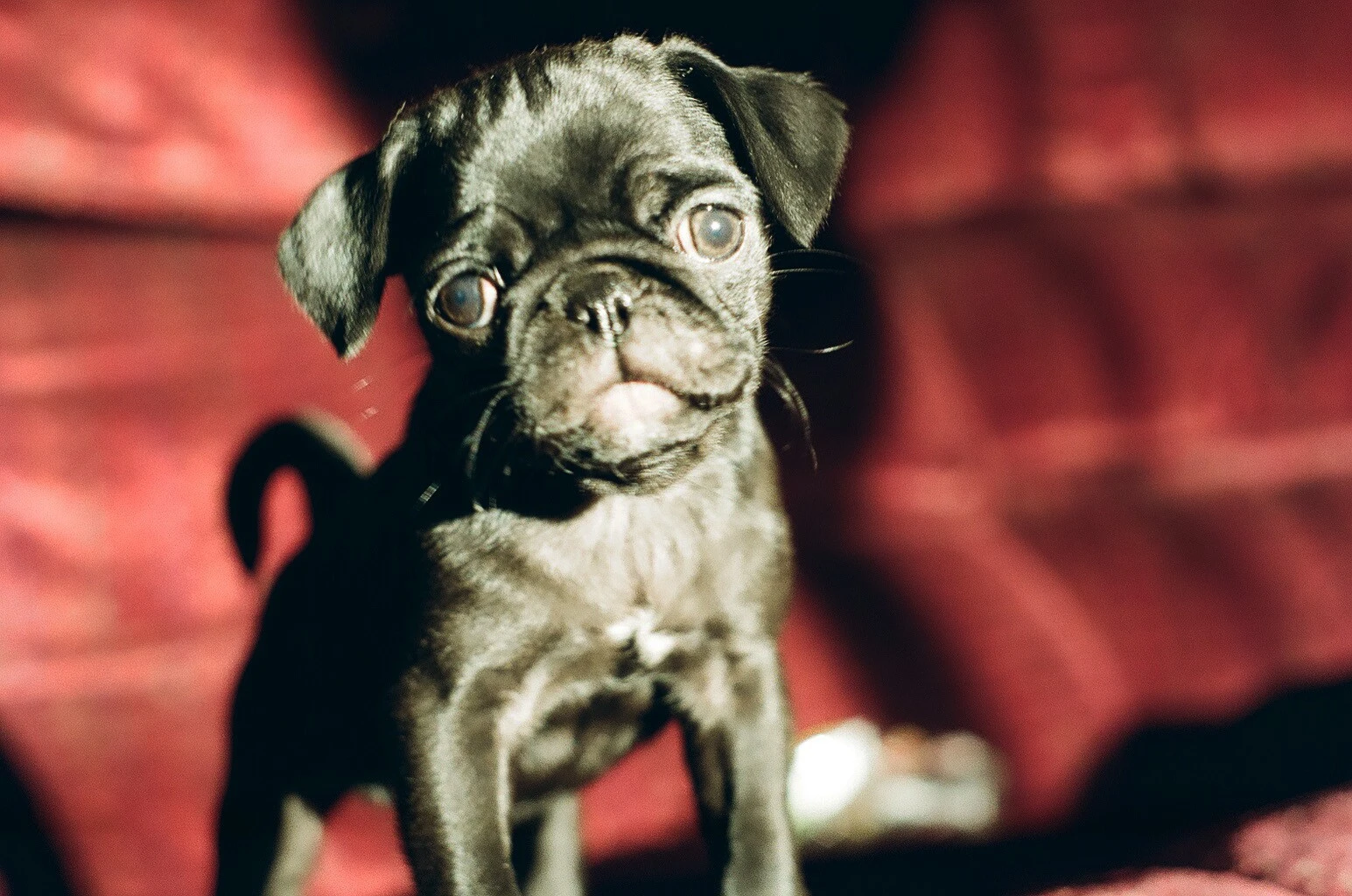 Maggie.
