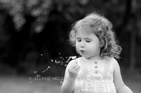 Make a wish