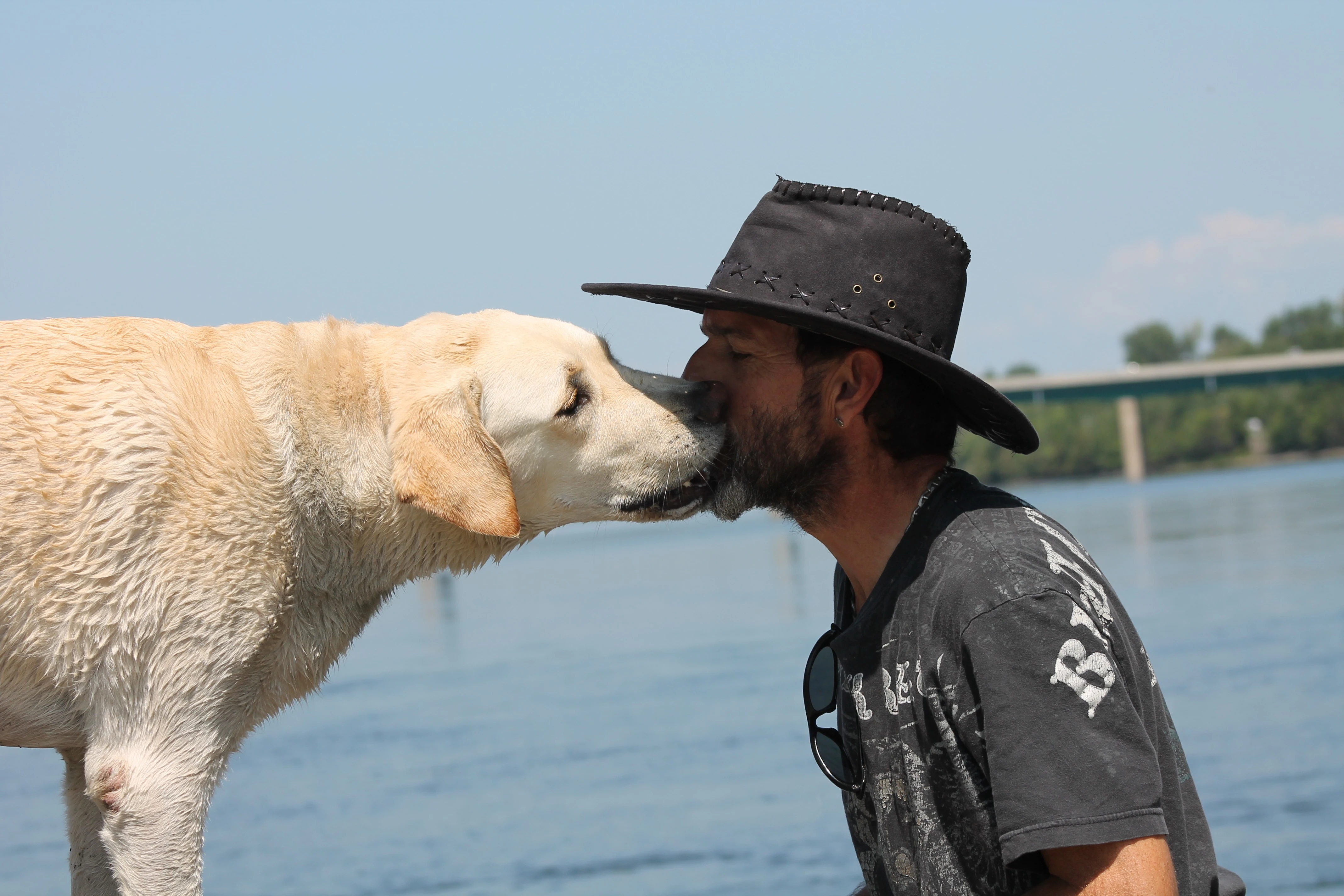 Man best Friend