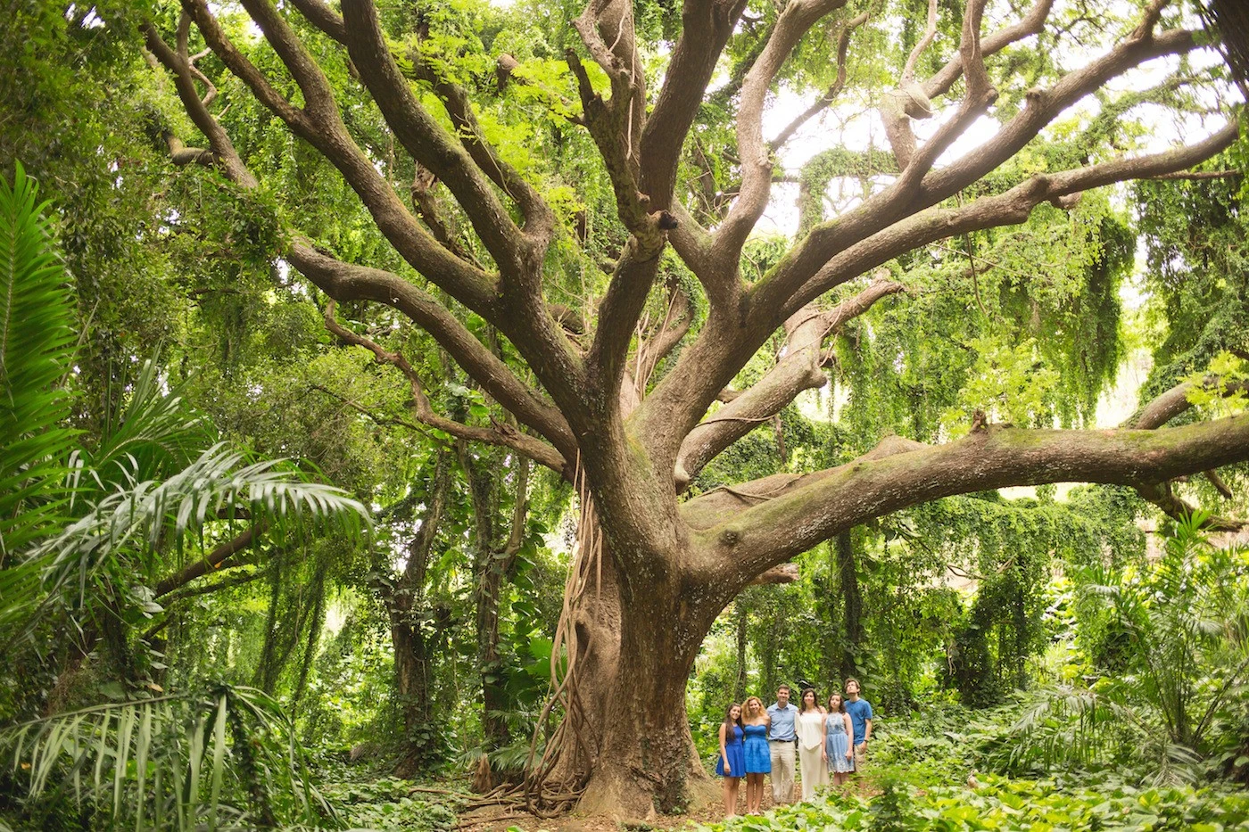 Maui Family Portraits in the Jungle