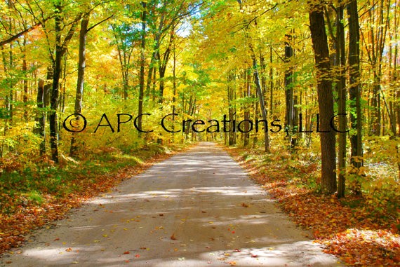 Michigan landscape photography by APC Creations