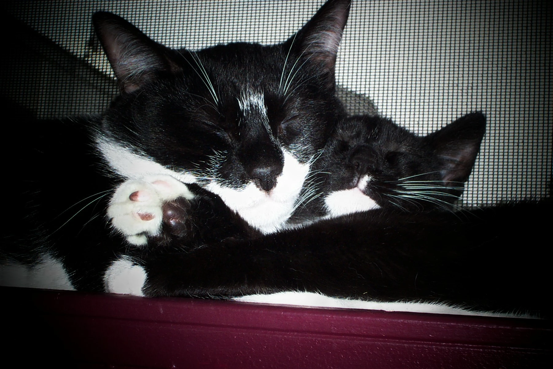 Milli & Bootsy