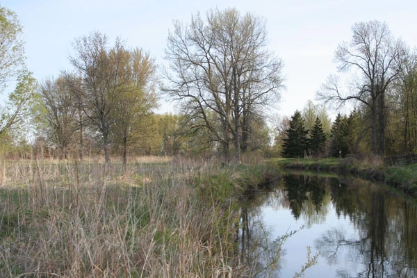 Minising Marsh