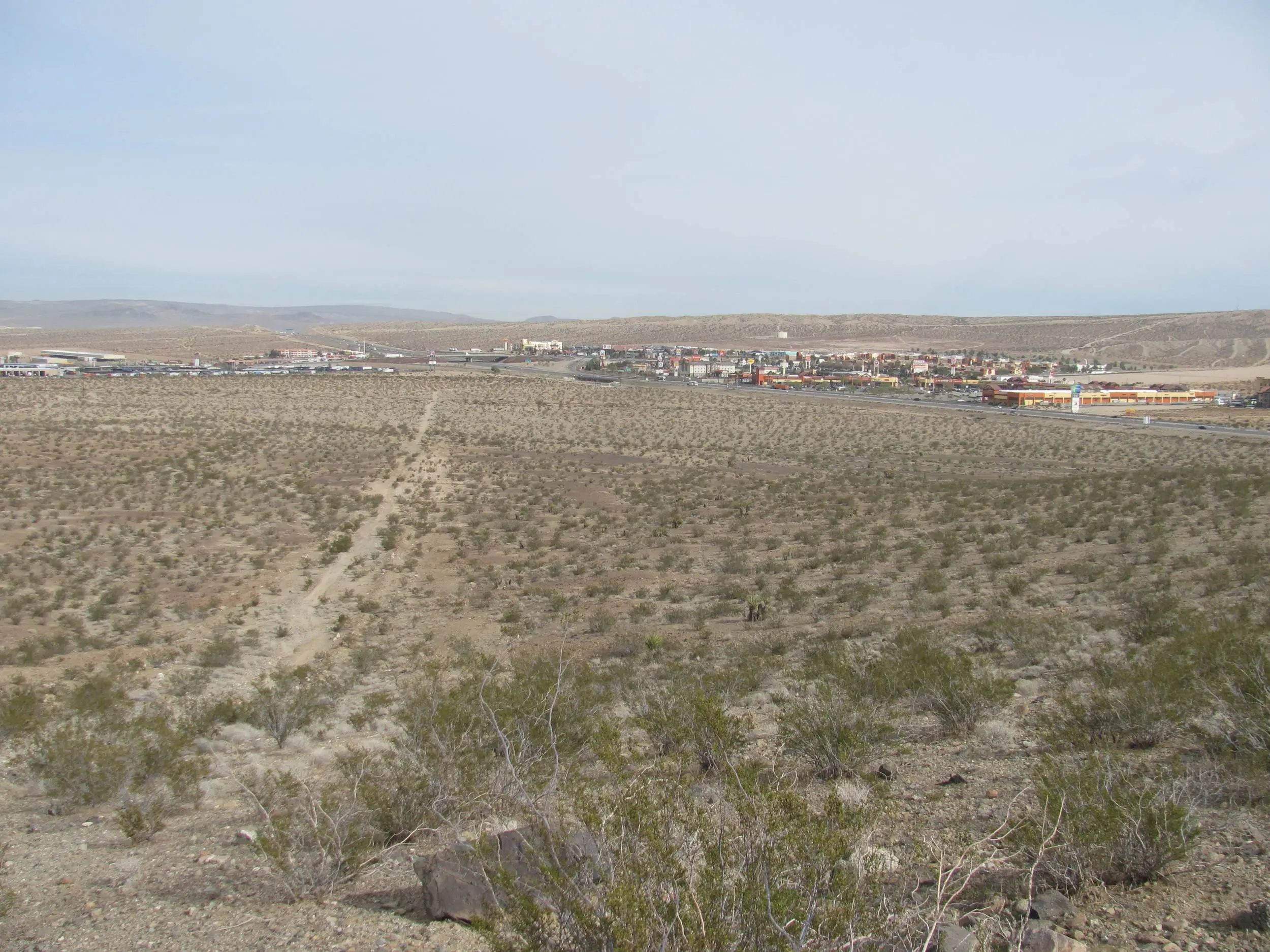 mojave
