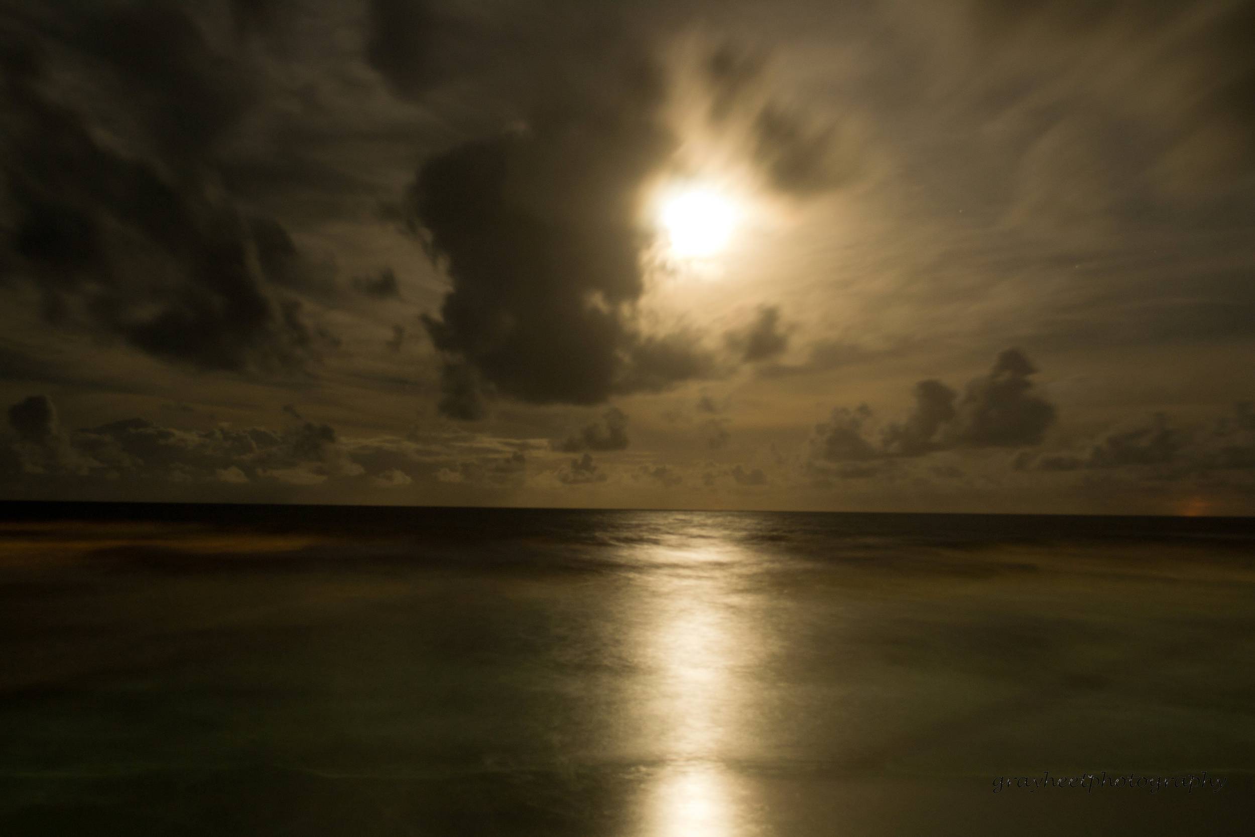 Moonlight Over Manzanilla Beach