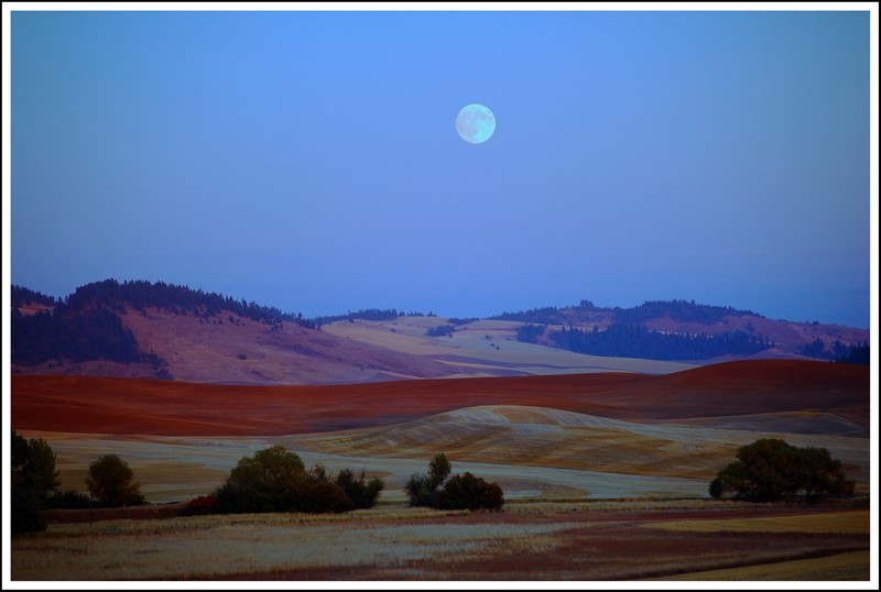 Moonrise on the Palouse