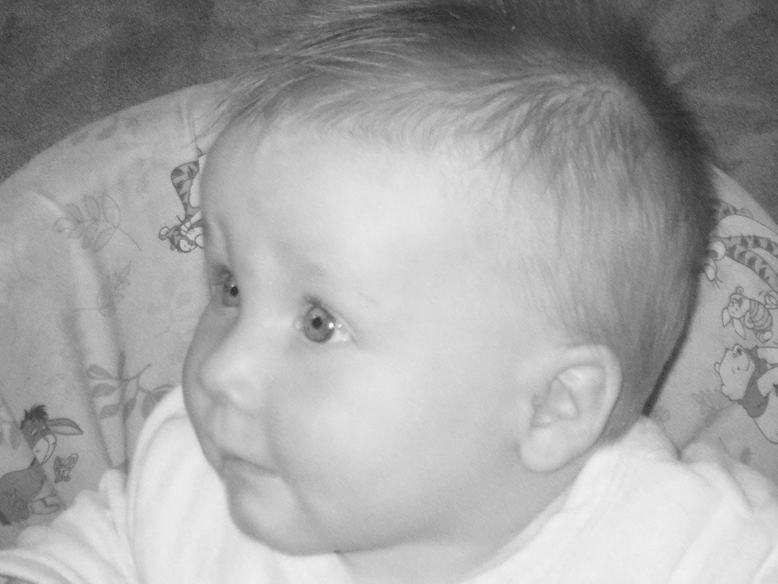 My Creationz Photography