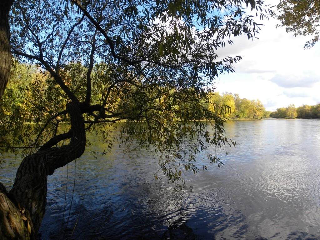 my respite