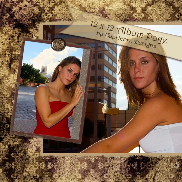 MyGrafico: Gold Damask Album Page
