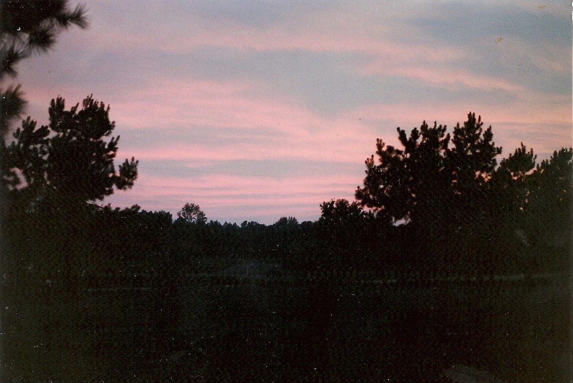 Nature's Mysterious Colors