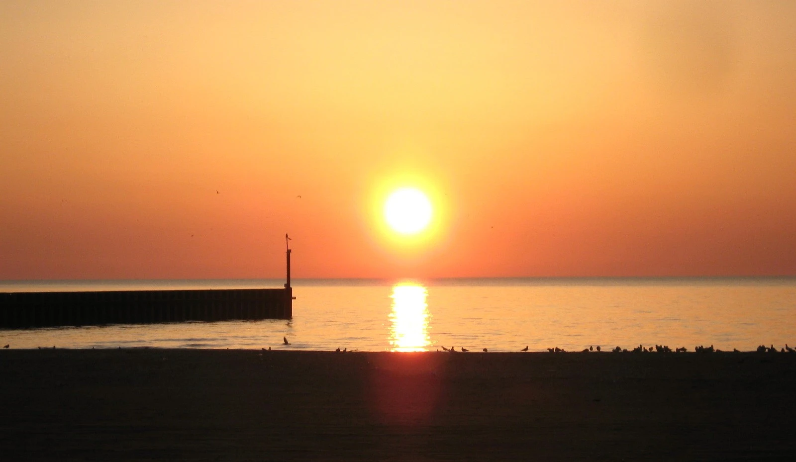 New Dawn