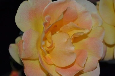 new_pic_5