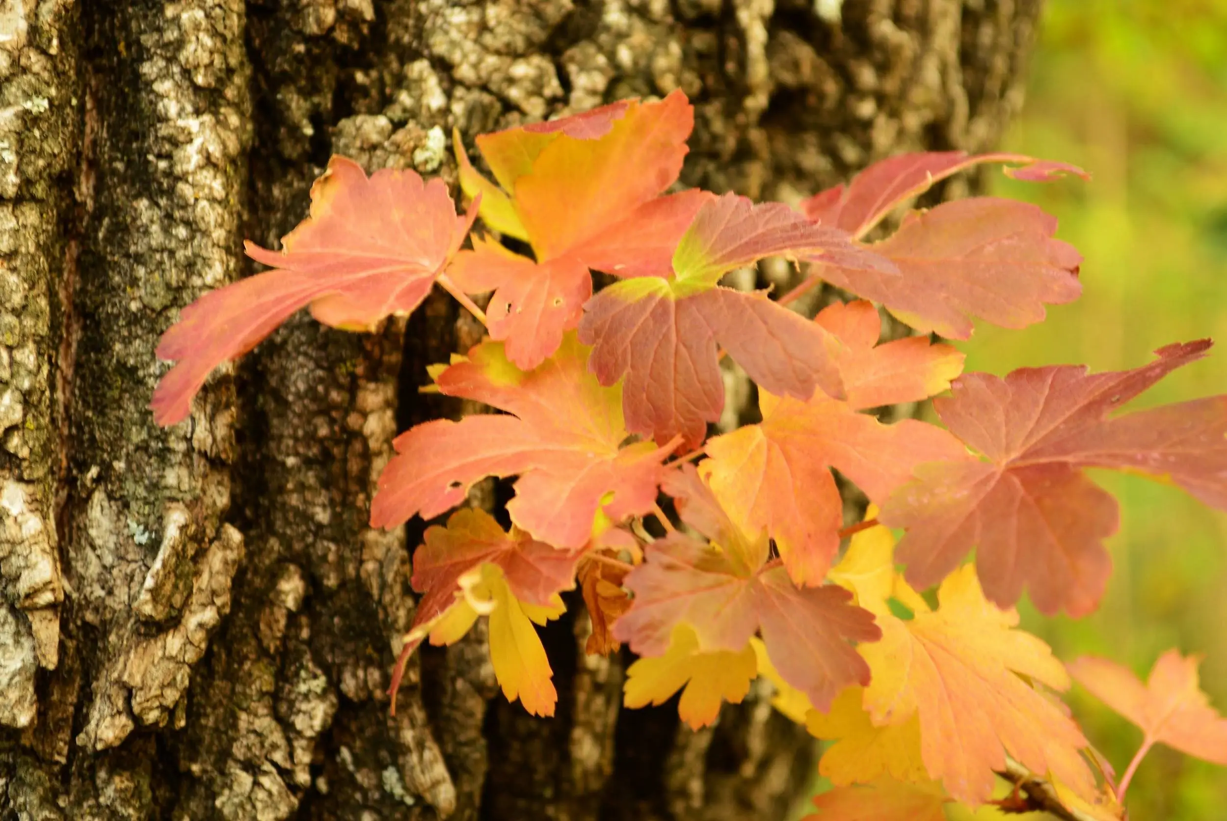 new_pics_024