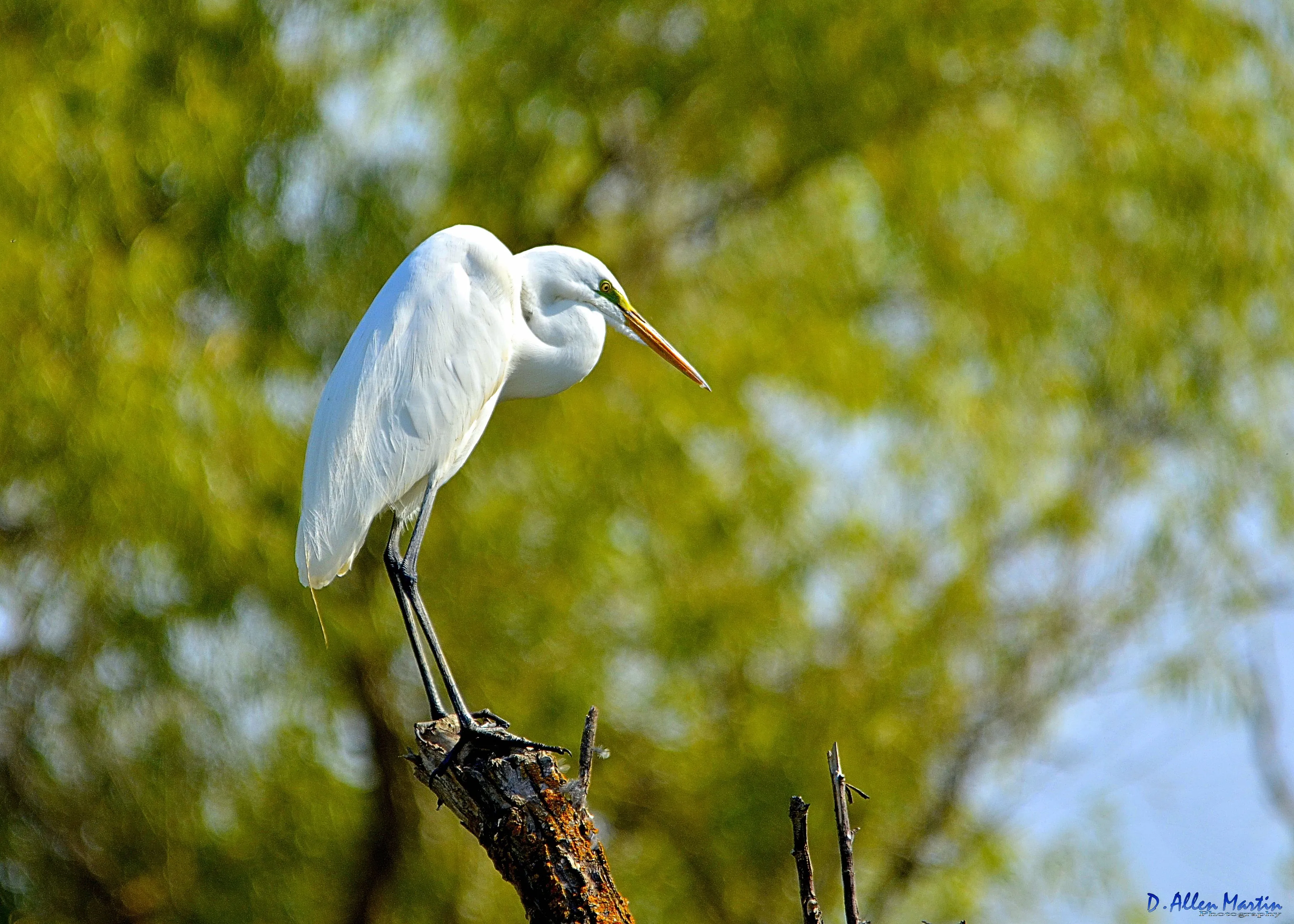 [No title]