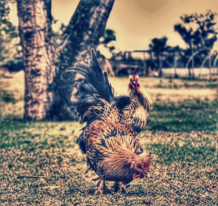 [No title]