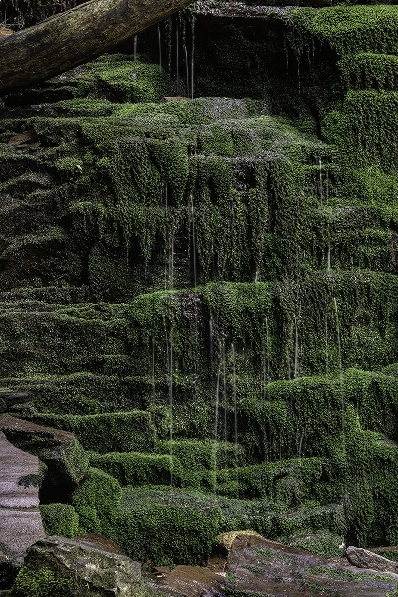 [No title]