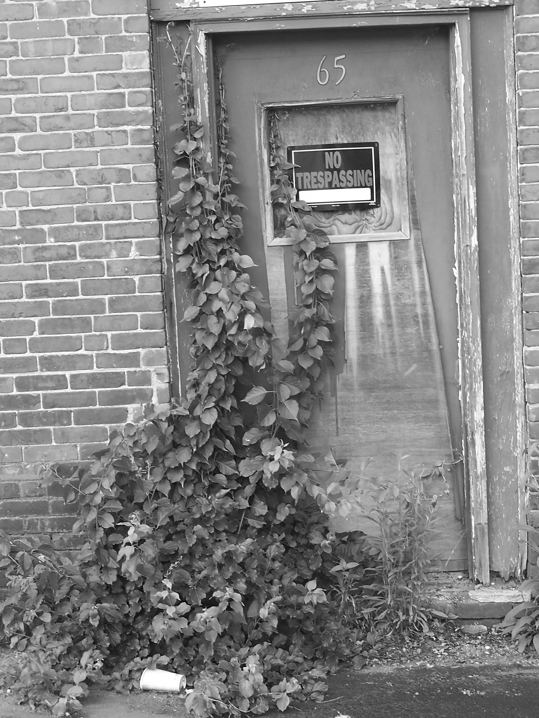 no tresspassing