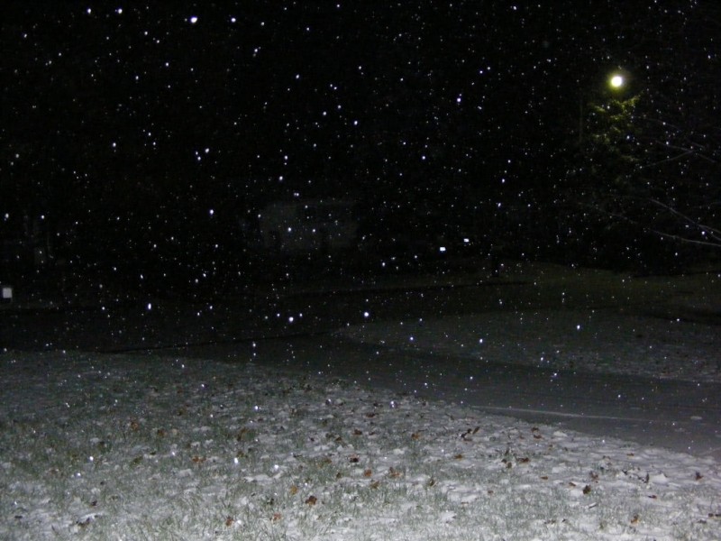 nov07photo12-First Michigan Winter Snow Fal