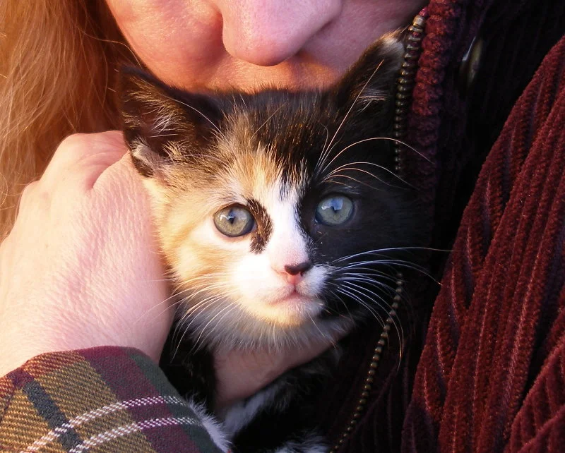 novphoto25-New Family Member