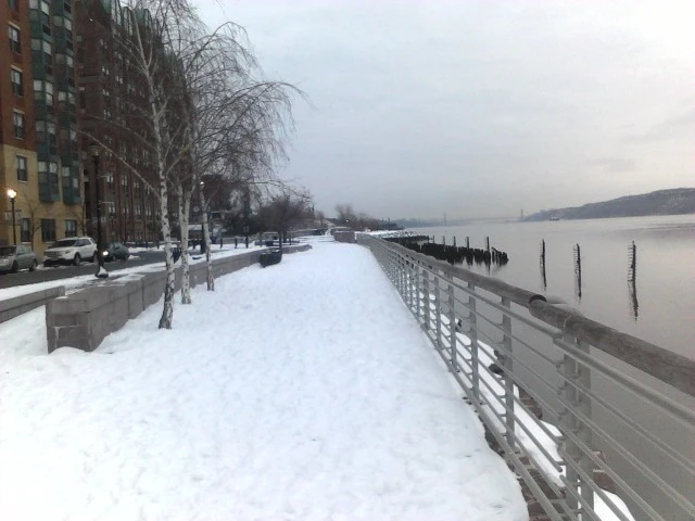 NY