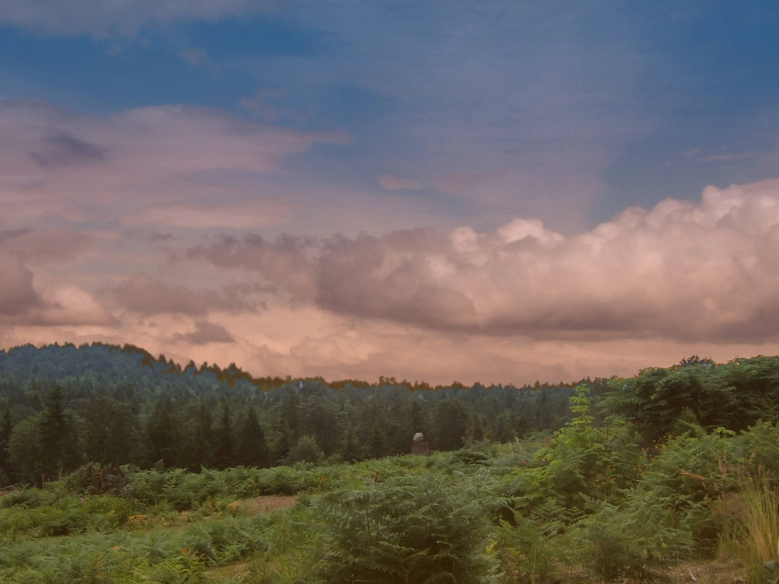 Obscured Mountains
