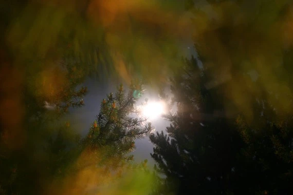 octphoto51-Moon thru Trees