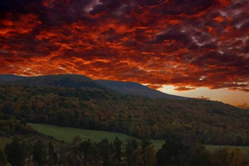 octphoto56-Berkshires Red