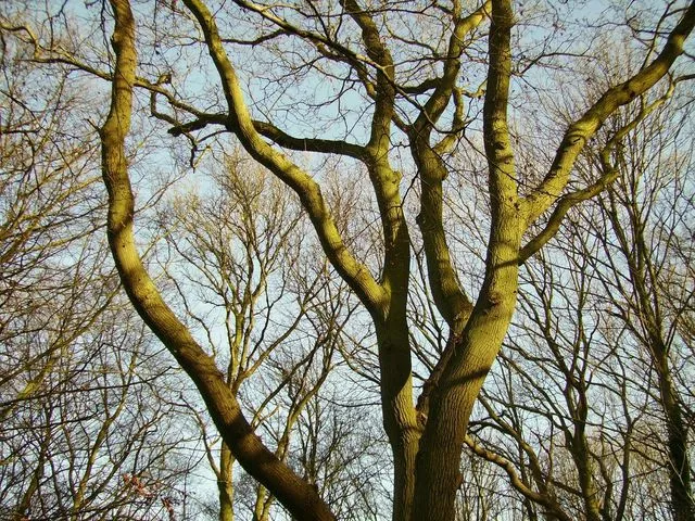 octphoto70
