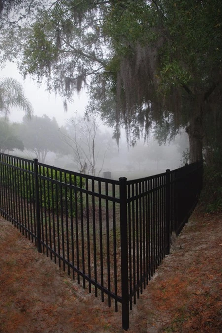 Old graveyard