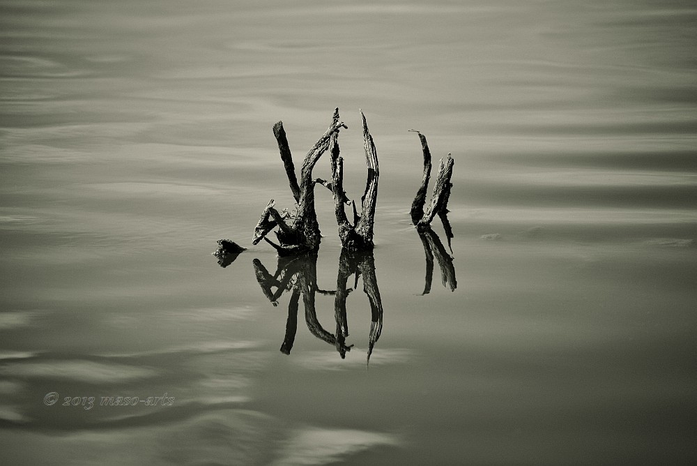 On the Lake