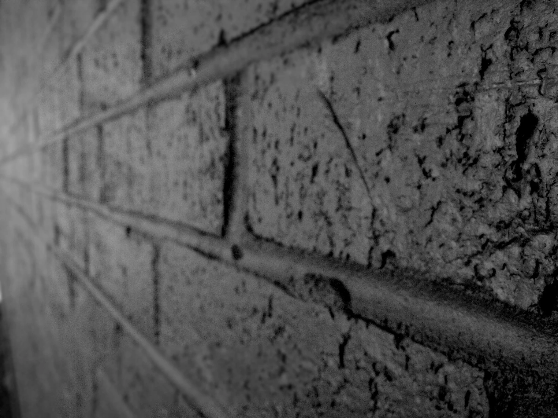 On the Wall