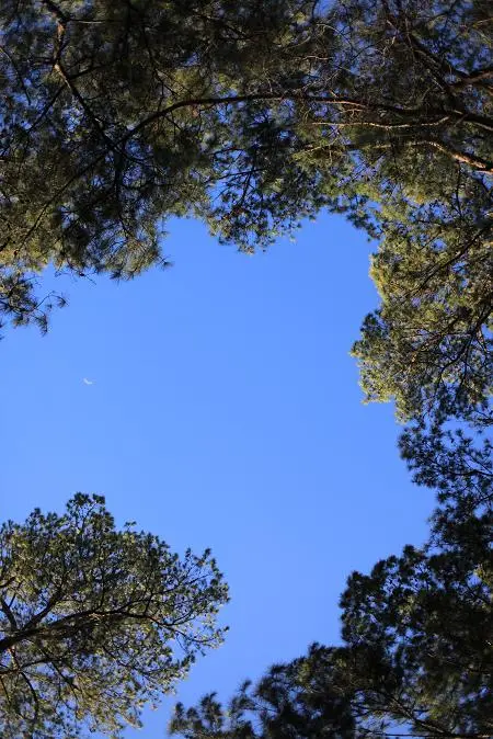 Open Sky