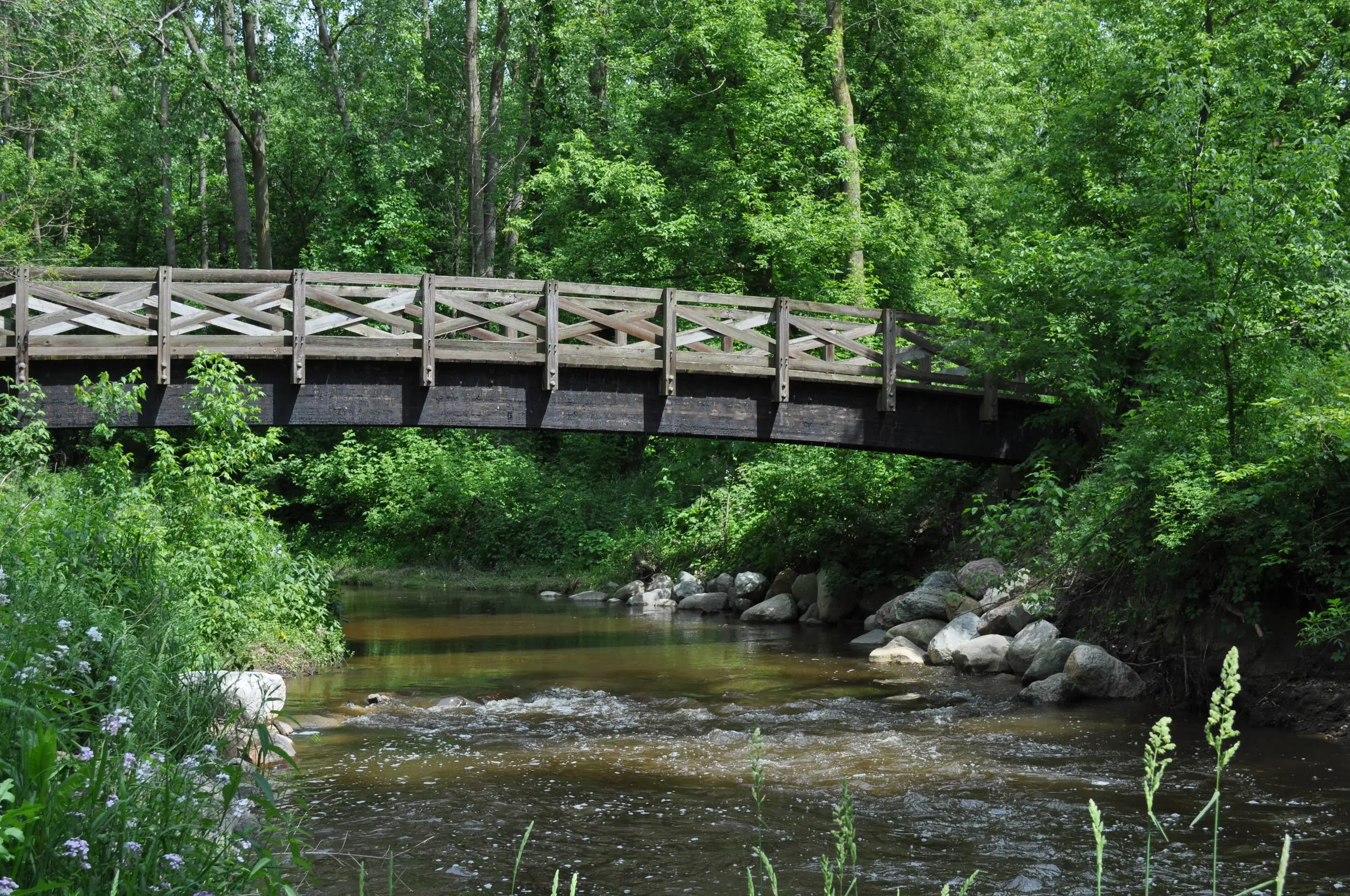 over the river and through the woods