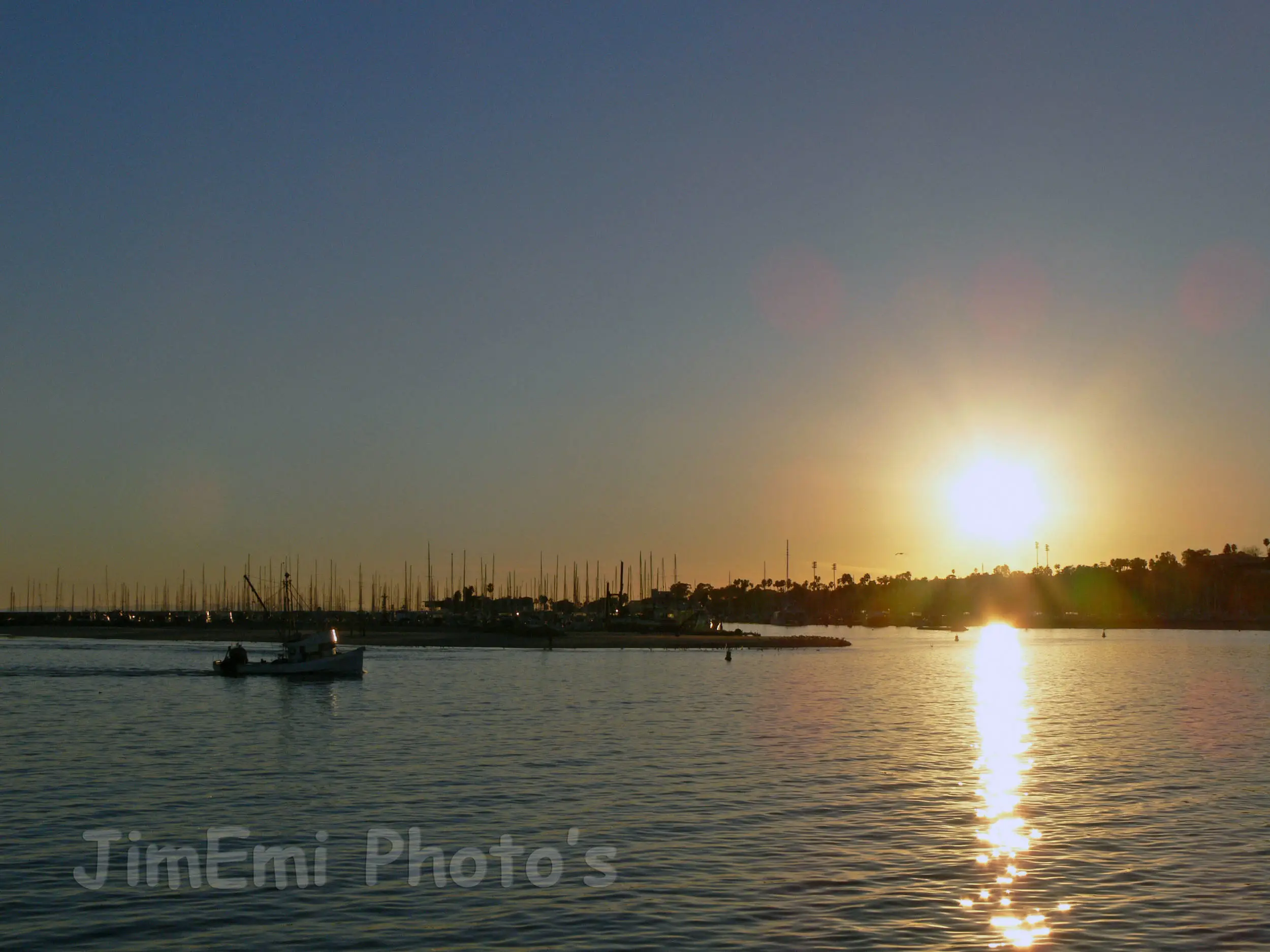 P1030206_copy