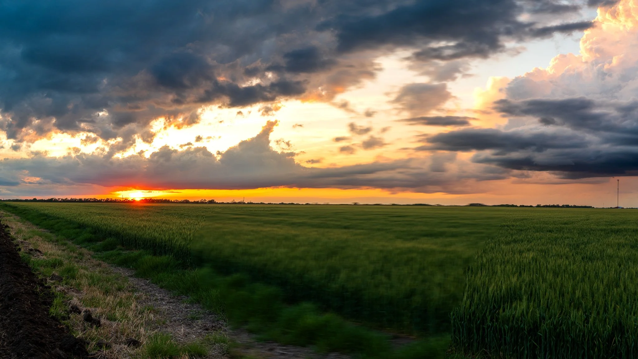 P1039945-Pano.webp