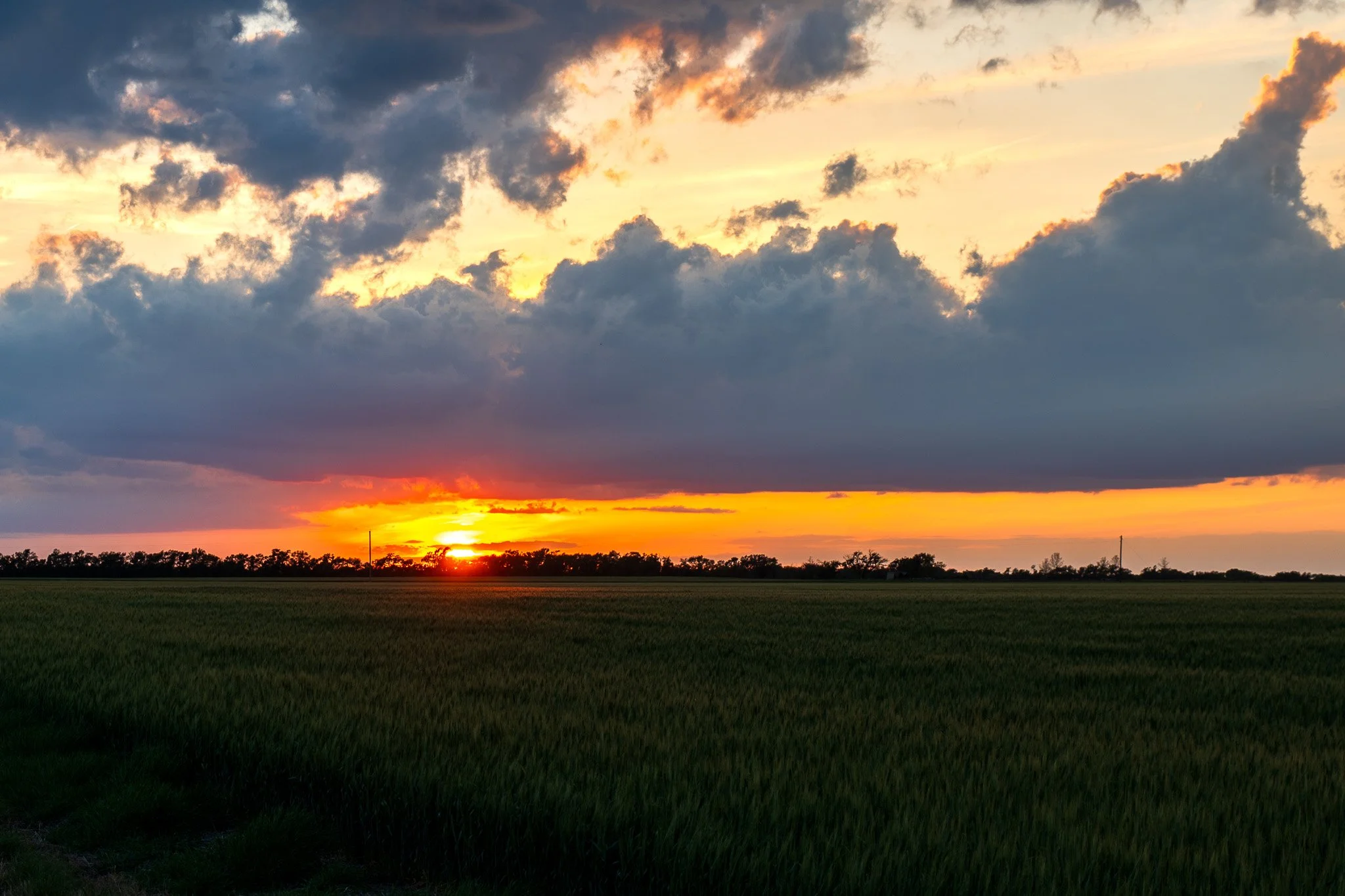 P1039946-2.webp