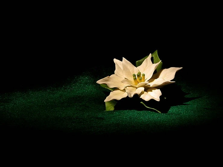 Painting With Light