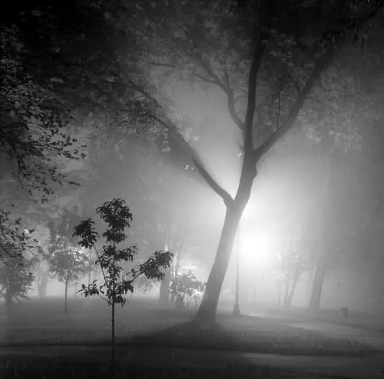 park  at night