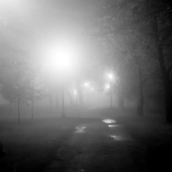 park fog