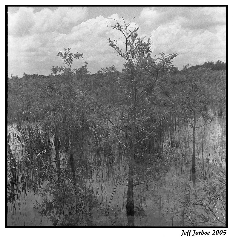 park west pembroke pine 2
