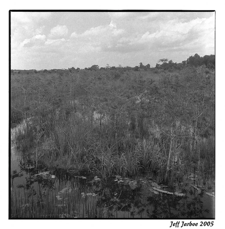 park west pembroke pine 3