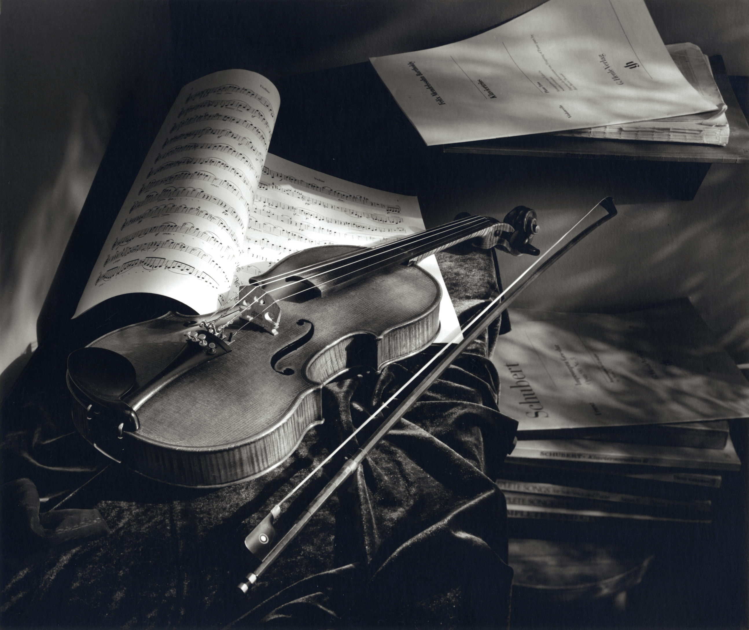 Paul Ulanowsky's violin.png