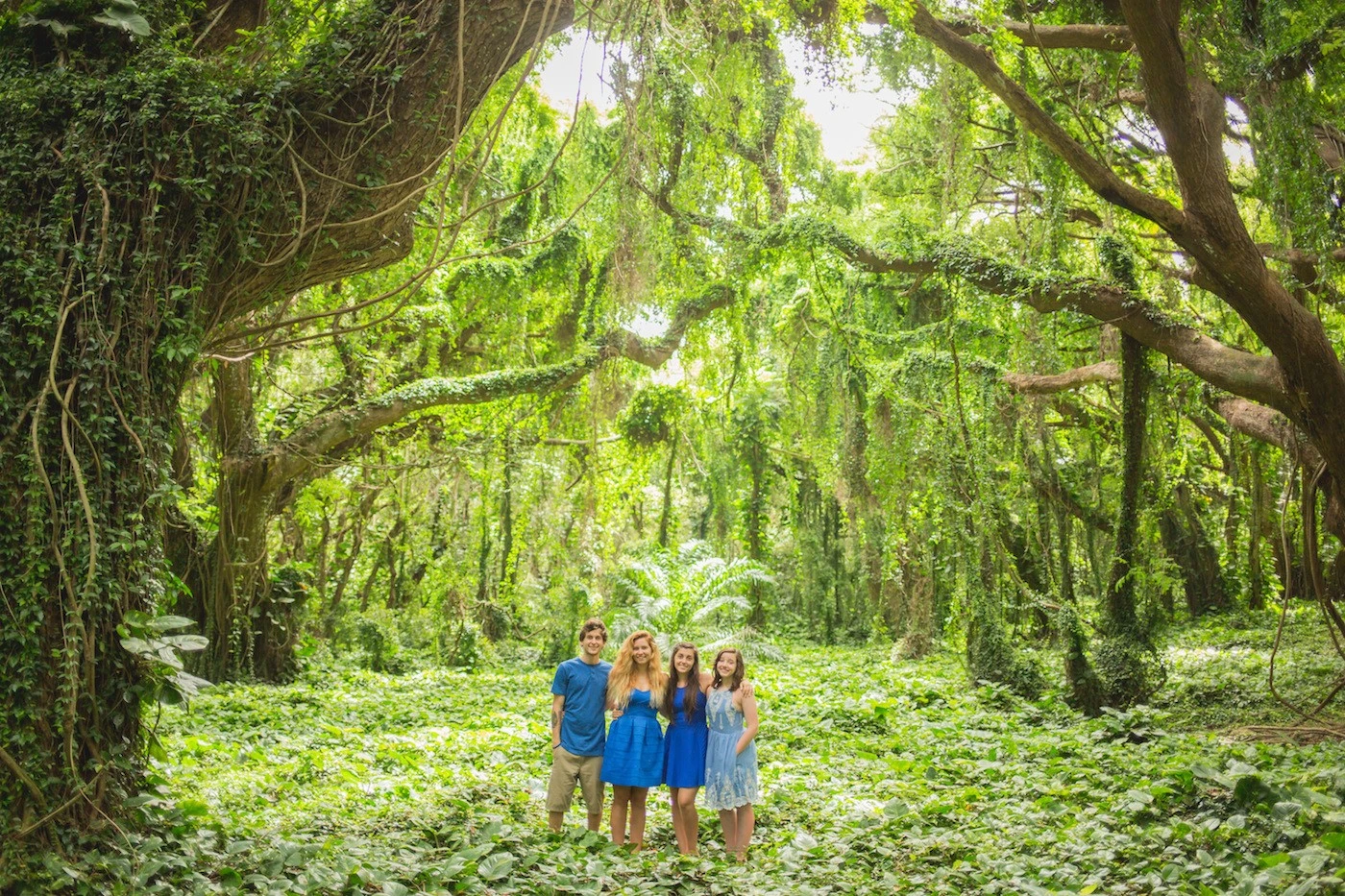 Perfect Light in the Jungle