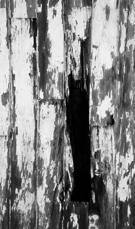Perforation in the Plank of Tenderness