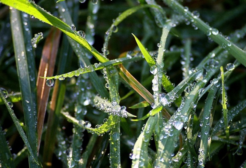 Photo12-Dec-Water Drops