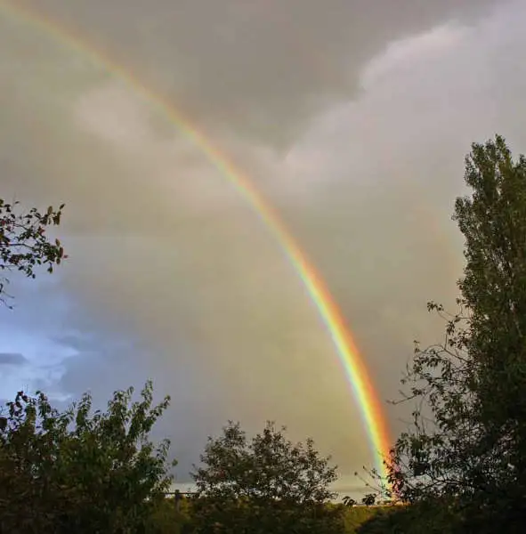 photo19-AllTheColoursOf