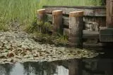 Pilings