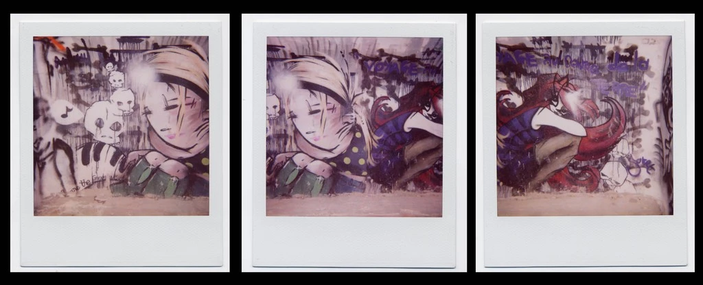 polaroid paris graff panaramic