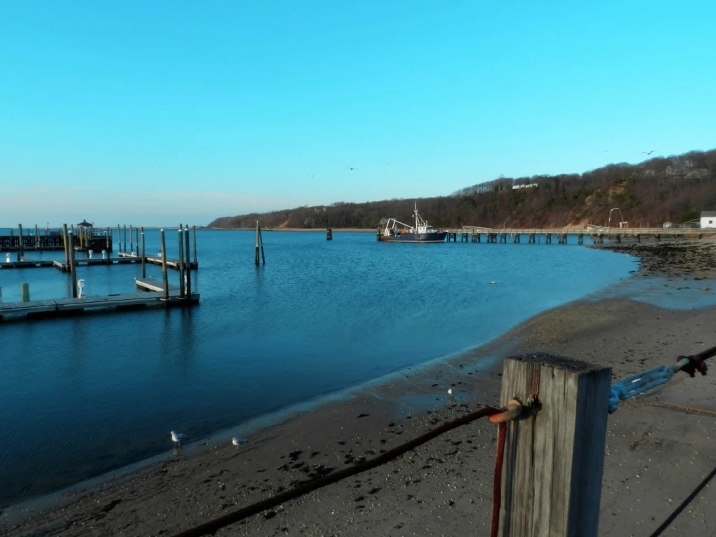 Port Jefferson Harbor at the start of the golden hour.