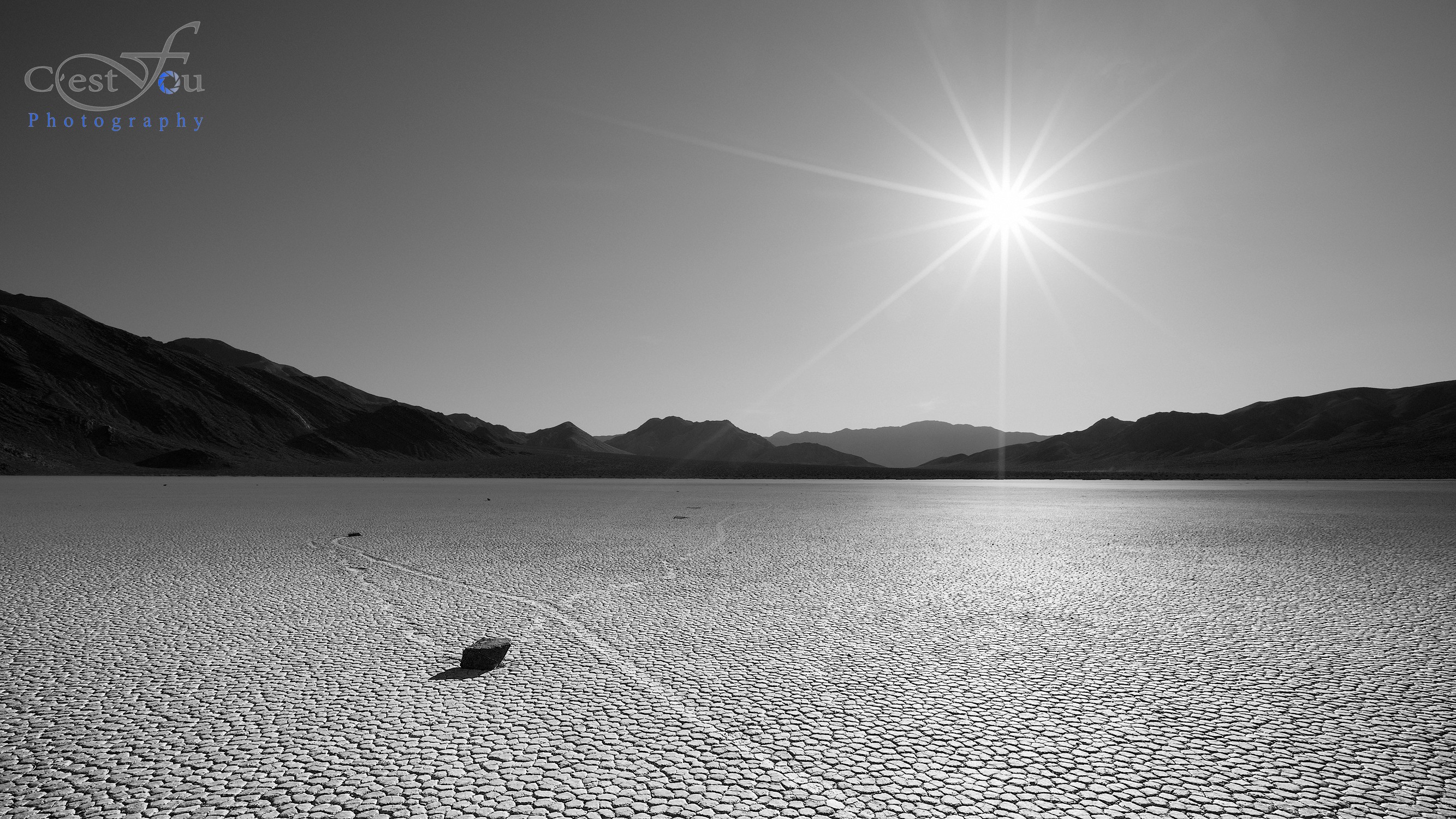 RaceTrack Playa